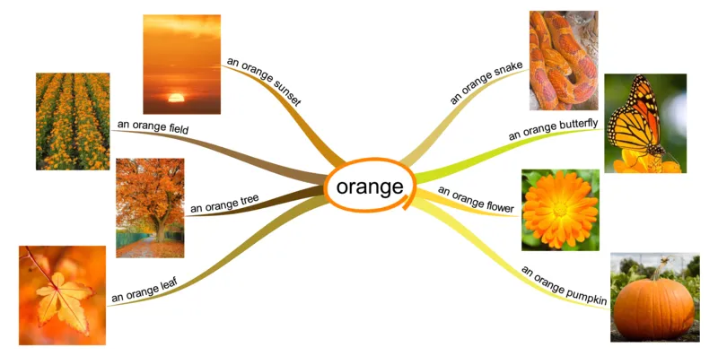 orange_《小学思维导图》_思维导图语数英第二套_英语_思维导图_思维导图RAZAA