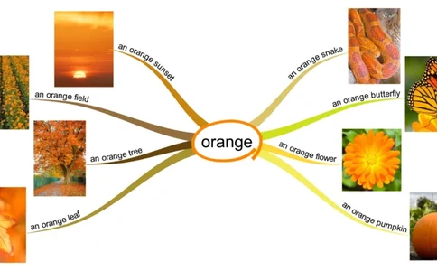 orange_《小学思维导图》_思维导图语数英第二套_英语_思维导图_思维导图RAZAA