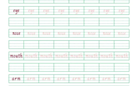 03.PEP小学英语三年级上册第三单元单词字帖_26春四年级上下册人教版_四上英语合集人教版PEP英语四年级上册新教材（教学视频+课件+动画+音频+练习+教案）_17练习资料_《英语字帖》