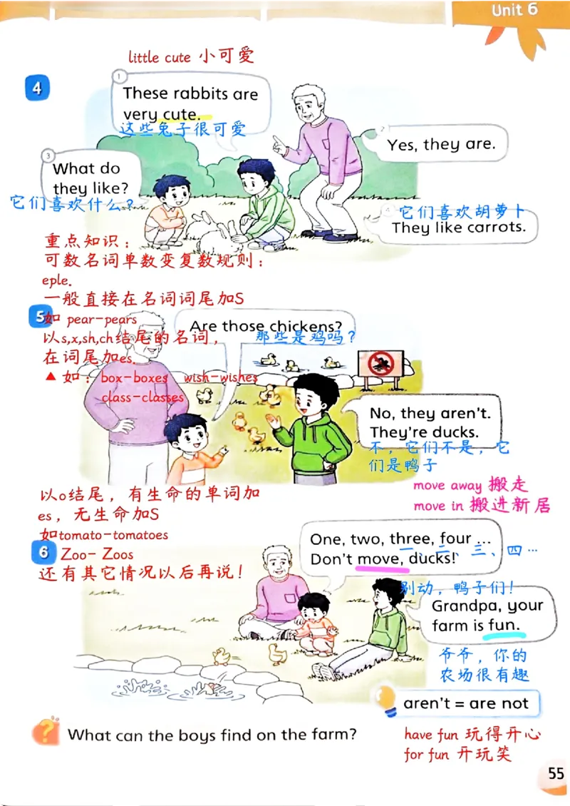 2025英语译林三下课堂笔记_三下译林版2026英语