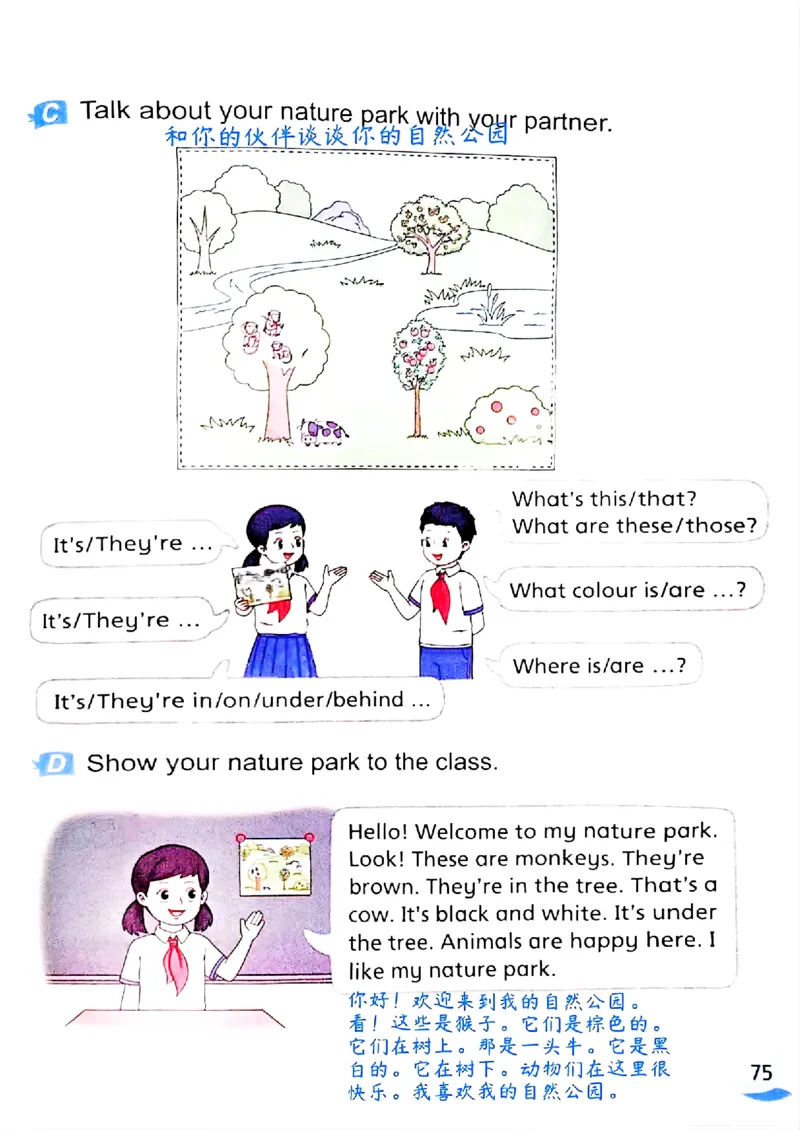 2025英语译林三下课堂笔记_三下译林版2026英语