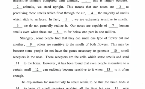 2005年真题及答案速查_41考研英语一二历年真题解析_英语一_真题册+答案速查