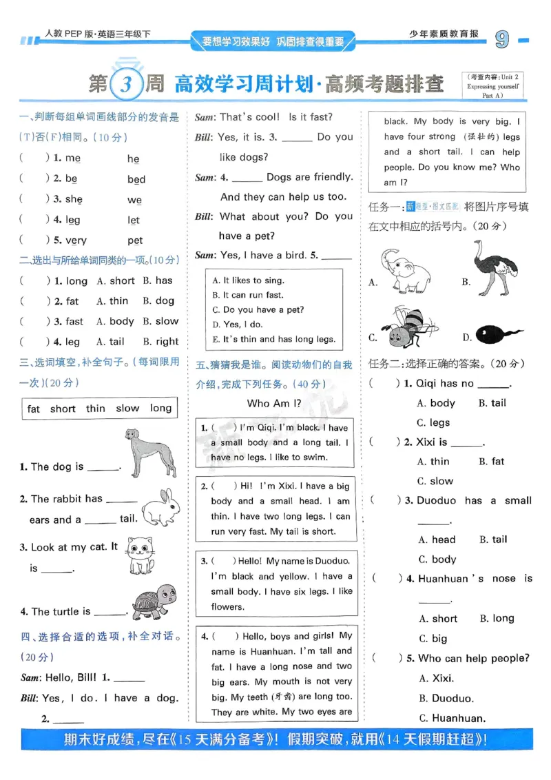25春周末基础复习人教英语3下_26春四年级上下册人教版_四上英语合集人教版PEP英语四年级上册新教材（教学视频+课件+动画+音频+练习+教案）_17练习资料_《周末基础复习》25春_PEP版