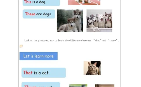 18Unit6Lookatmytoys!PartB_国家课_学习任务单_26春四年级上下册人教版_四上英语合集人教版PEP英语四年级上册新教材（教学视频+课件+动画+音频+练习+教案）_17练习资料_《小学英语》