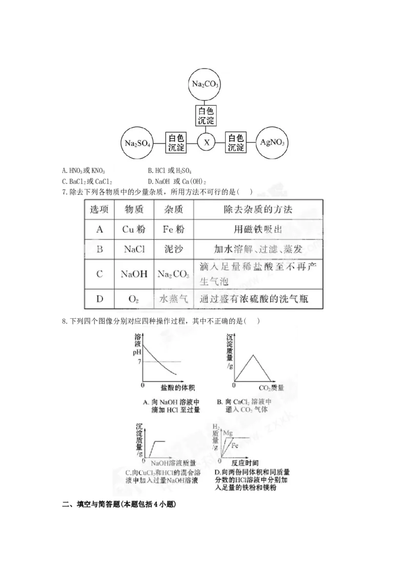 （人教版）九年级下册：第11单元盐、化肥检测&bull;知能升级_初中化学_01.人教版初中化学_01.初中化学课件PPT--教案--试题_初中化学18年试卷_人教版九年级化学下册2018