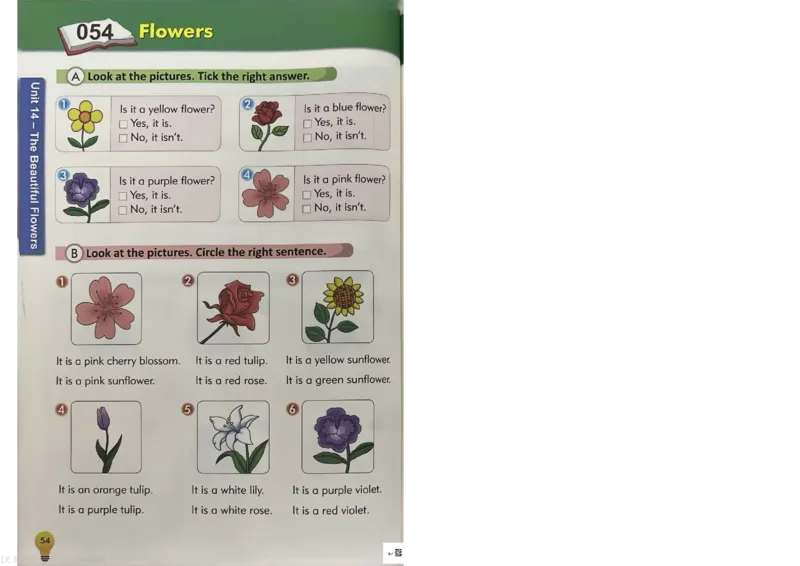 1英语~写霸_26春四年级上下册人教版_四上英语合集人教版PEP英语四年级上册新教材（教学视频+课件+动画+音频+练习+教案）_17练习资料_小学英语（预习复习资料大礼包）