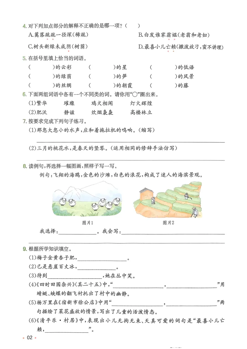2025版一本4升5预备五年级语文复习巩固册_小学资料合集_2025版小学《一本预习衔接》1-6年级语文数学英语_一本预备五年级语数英25年