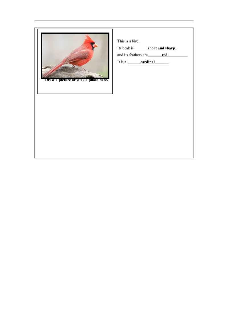 1026五年级英语(人教版)Revision+1(第四课时)-4练习题_26春四年级上下册人教版_四上英语合集人教版PEP英语四年级上册新教材（教学视频+课件+动画+音频+练习+教案）_17练习资料_练习题