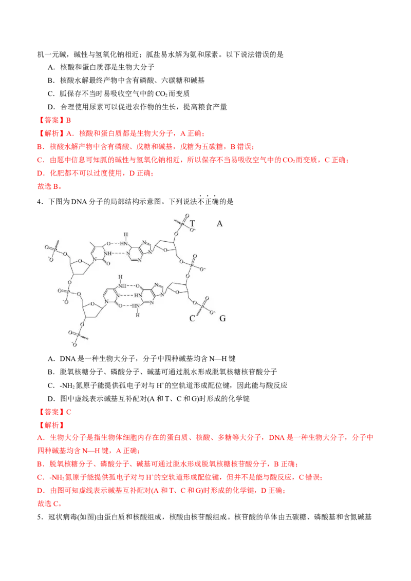 第四章生物大分子单元测试&middot;考点卷-（人教版2019选择性必修3）（解析版）_高化_595801221724高中化学新人教版选择性必修一二三电子版教案PPT课件高中试卷_选择性必修3册（人教版）