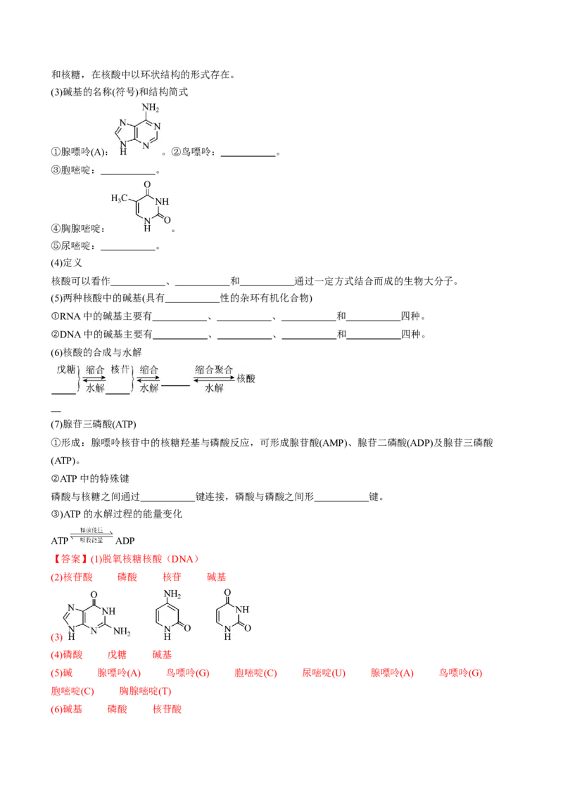 第四章生物大分子单元测试&middot;考点卷-（人教版2019选择性必修3）（解析版）_高化_595801221724高中化学新人教版选择性必修一二三电子版教案PPT课件高中试卷_选择性必修3册（人教版）