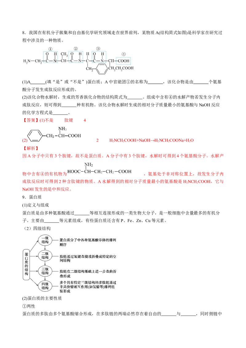第四章生物大分子单元测试&middot;考点卷-（人教版2019选择性必修3）（解析版）_高化_595801221724高中化学新人教版选择性必修一二三电子版教案PPT课件高中试卷_选择性必修3册（人教版）