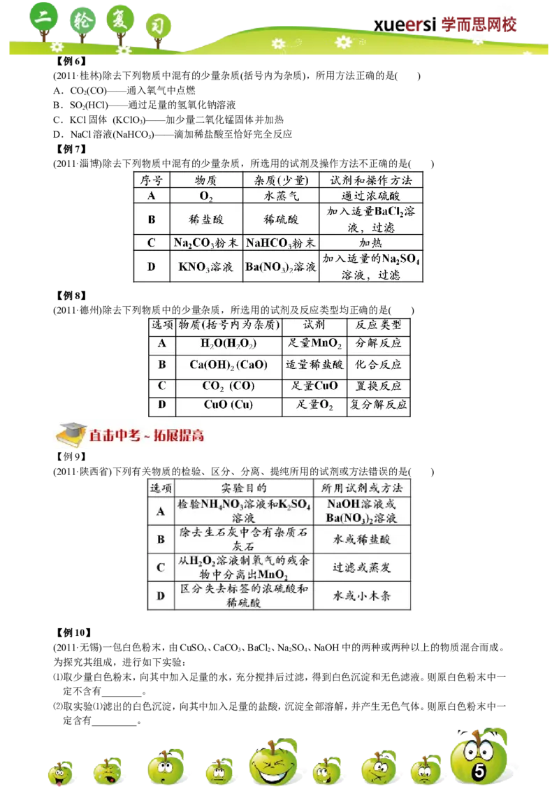 物质的检验与鉴别_初中化学_01.人教版初中化学_03.初中化学专项视频_[4787]8-15+2012中考二轮：化学模块专题强化_第10讲物质的检验与鉴别
