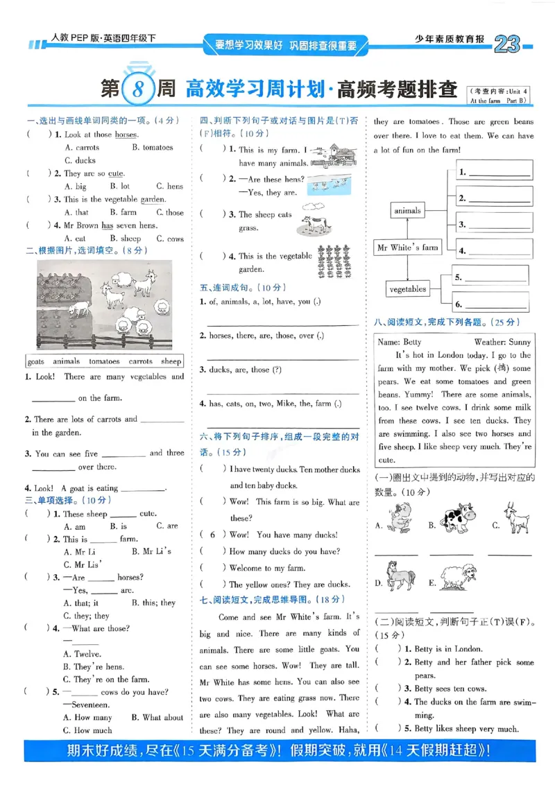 25春周末基础复习人教英语4下_26春四年级上下册人教版_四上英语合集人教版PEP英语四年级上册新教材（教学视频+课件+动画+音频+练习+教案）_17练习资料_《周末基础复习》25春_PEP版
