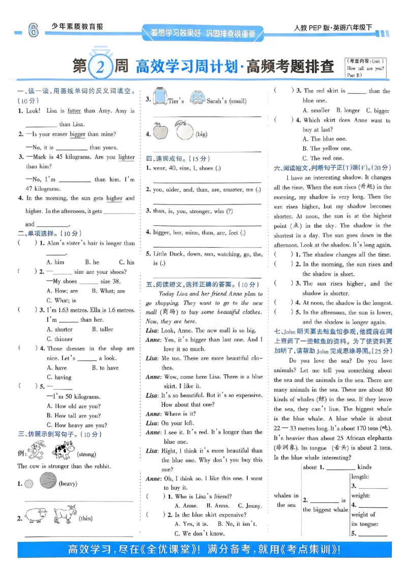 25春周末基础复习人教英语6下_26春四年级上下册人教版_四上英语合集人教版PEP英语四年级上册新教材（教学视频+课件+动画+音频+练习+教案）_17练习资料_《周末基础复习》25春_PEP版