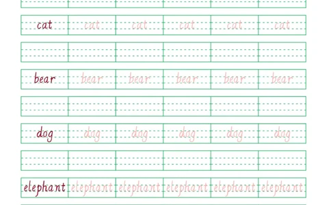 04.PEP小学英语三年级上册第四单元单词字帖_26春四年级上下册人教版_四上英语合集人教版PEP英语四年级上册新教材（教学视频+课件+动画+音频+练习+教案）_17练习资料_《英语字帖》