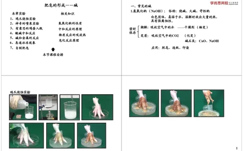 肥皂的形成&mdash;&mdash;碱_初中化学_01.人教版初中化学_04.初中化学实验视频_课外化学实验兴趣_第15讲肥皂的形成&mdash;&mdash;碱