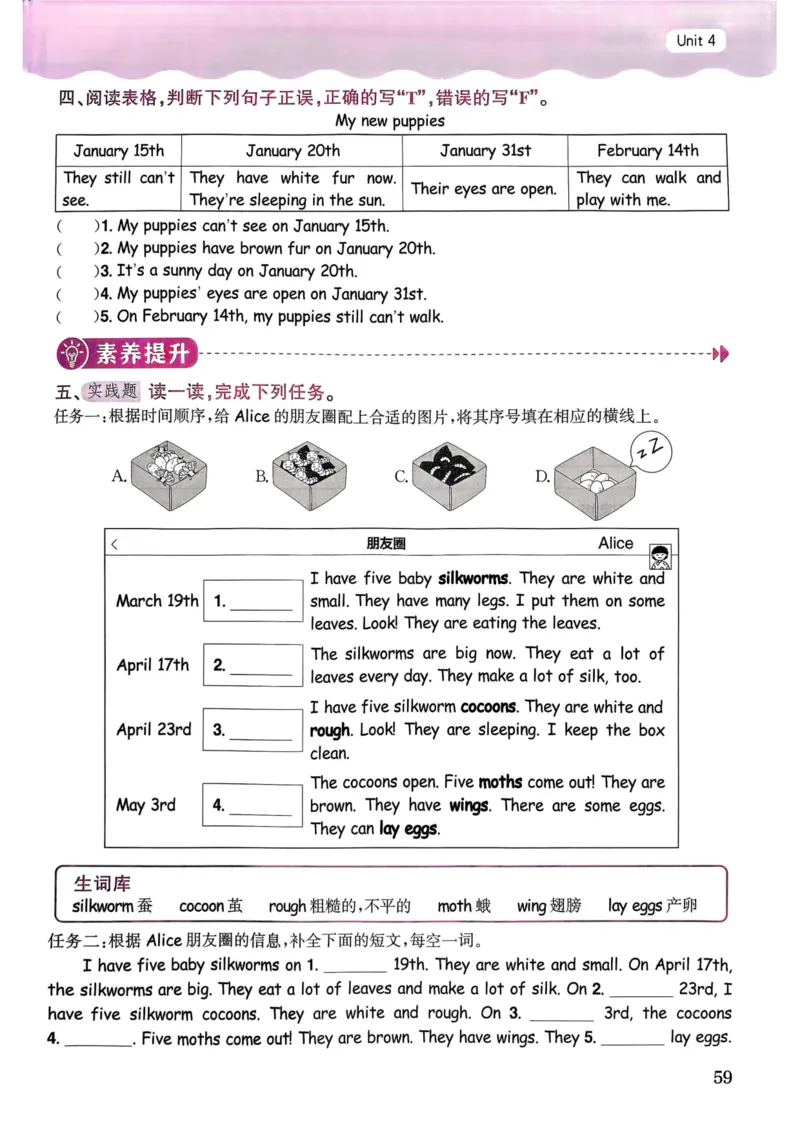 25春黄冈小状元作业本5下英语（PEP)_26春四年级上下册人教版_四上英语合集人教版PEP英语四年级上册新教材（教学视频+课件+动画+音频+练习+教案）_17练习资料_《黄冈小状元作业本》25春