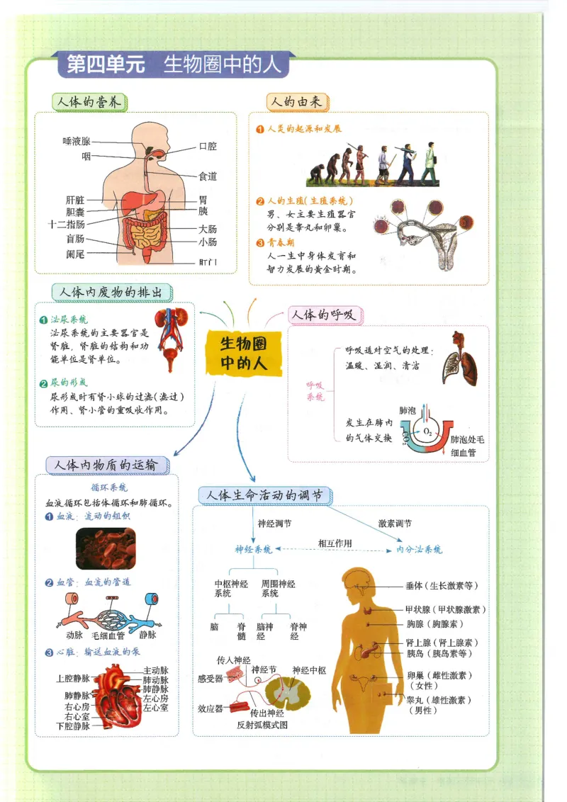 2025版《53初中知识清单》-生物_初中全科《53初中知识清单》2025版