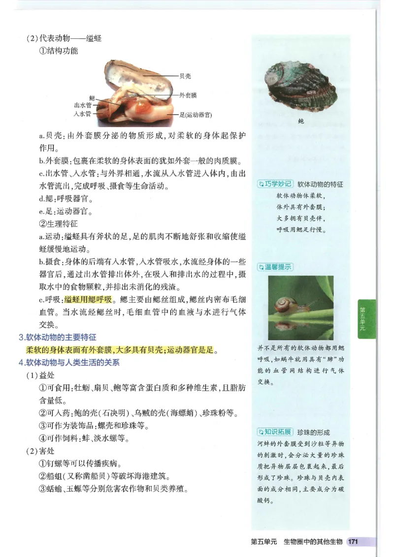 2025版《53初中知识清单》-生物_初中全科《53初中知识清单》2025版