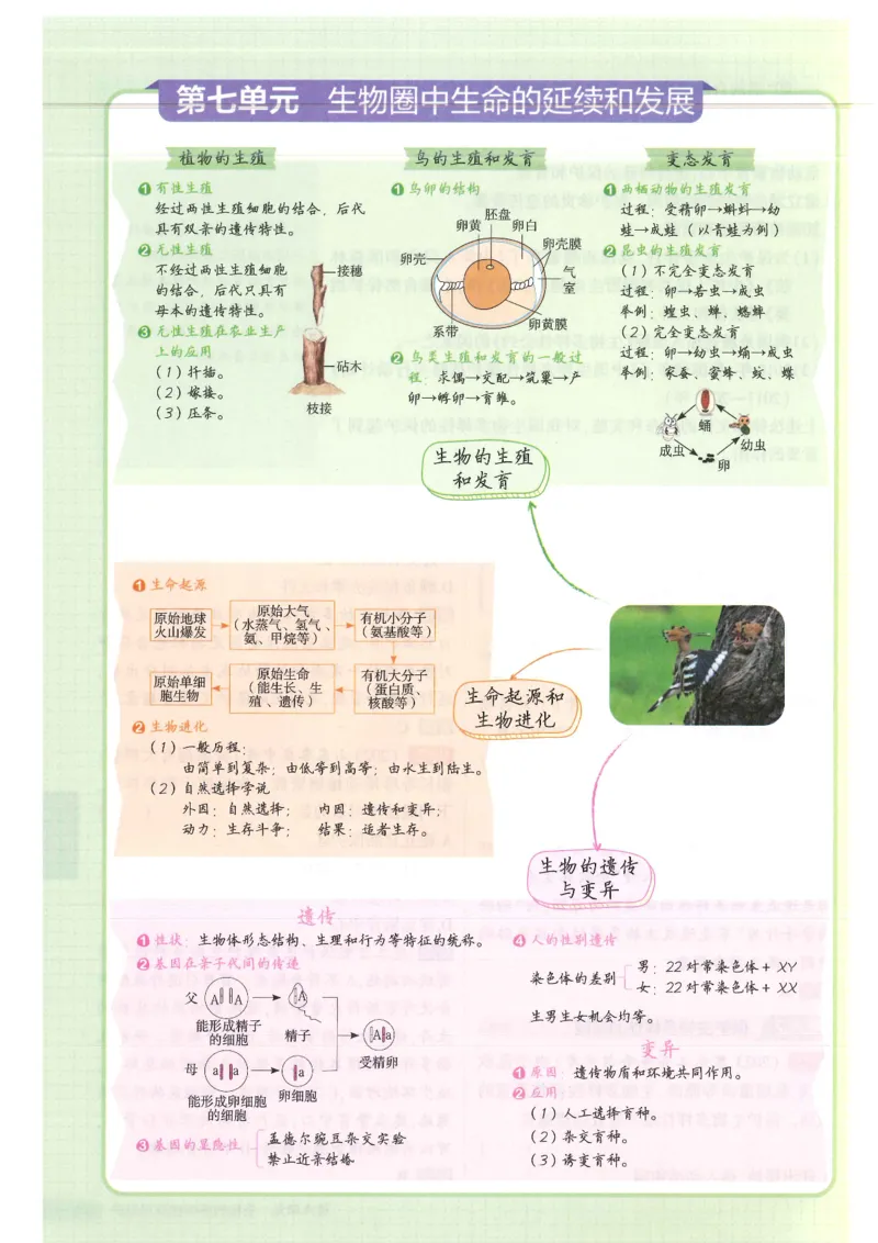 2025版《53初中知识清单》-生物_初中全科《53初中知识清单》2025版
