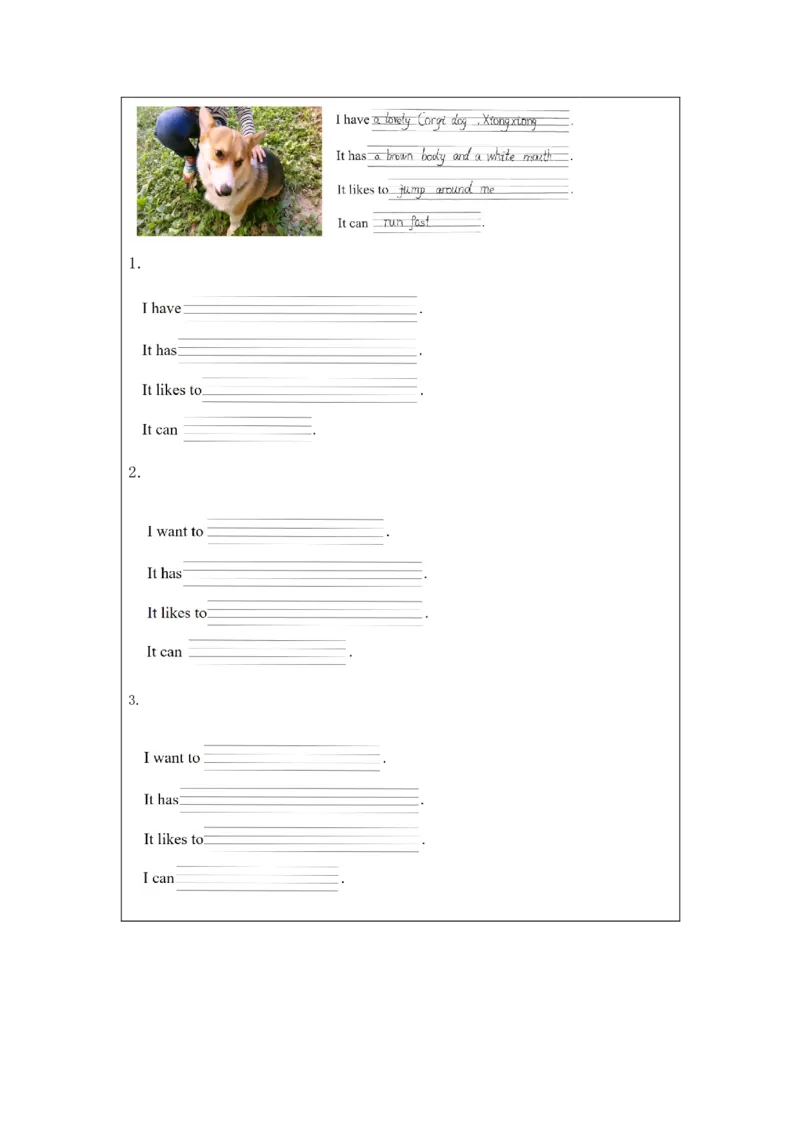 1023三年级英语(人教版)Unit+4+Pets+第三课时-4练习题_26春四年级上下册人教版_四上英语合集人教版PEP英语四年级上册新教材（教学视频+课件+动画+音频+练习+教案）_17练习资料_练习题
