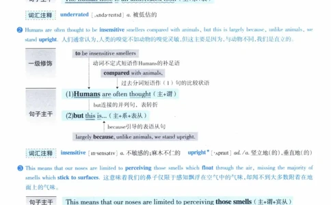 2005年逐词逐句精讲册_41考研英语一二历年真题解析_英语一_解析册+逐词逐句册