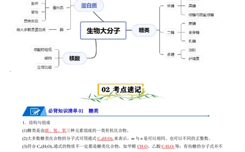 第四章生物大分子速记清单-（人教版2019选择性必修3）（教师版）_高化_595801221724高中化学新人教版选择性必修一二三电子版教案PPT课件高中试卷_选择性必修3册（人教版）_知识清单