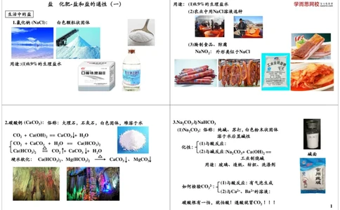盐　化肥-盐和盐的通性（一）_初中化学_01.人教版初中化学_02.初中化学教学视频_2.初中化学--教学视频--带讲义_新初三化学年卡菁英班（全国人教版）