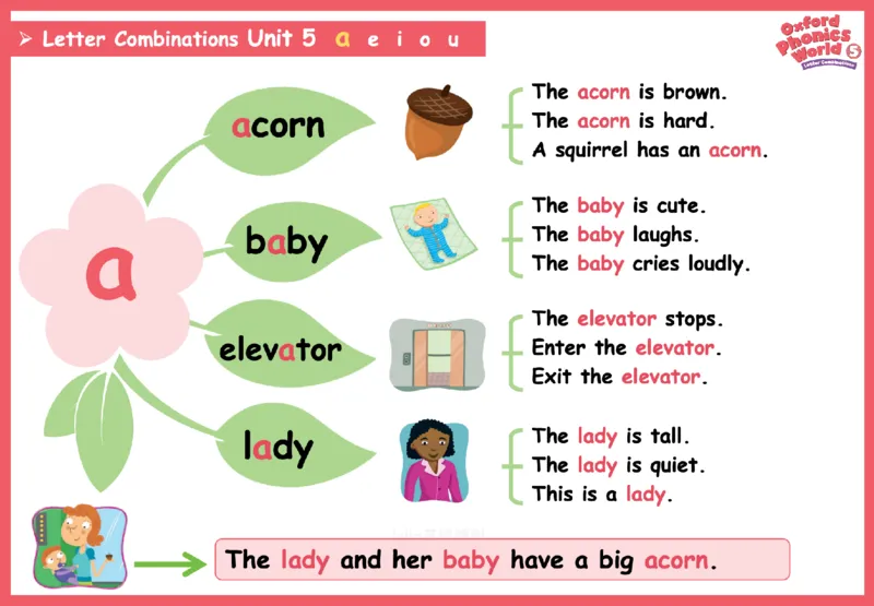 OPW5思维导图_《小学思维导图》_思维导图语数英第二套_英语_自然拼读1-5级思维导图