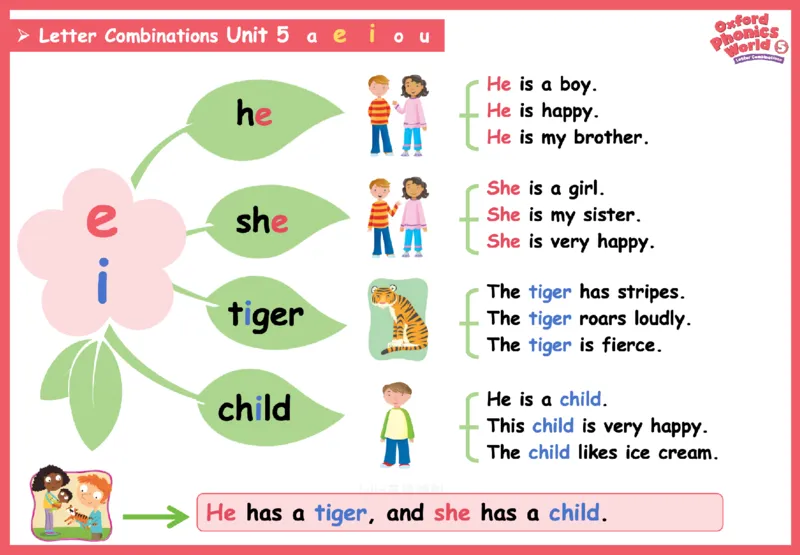 OPW5思维导图_《小学思维导图》_思维导图语数英第二套_英语_自然拼读1-5级思维导图