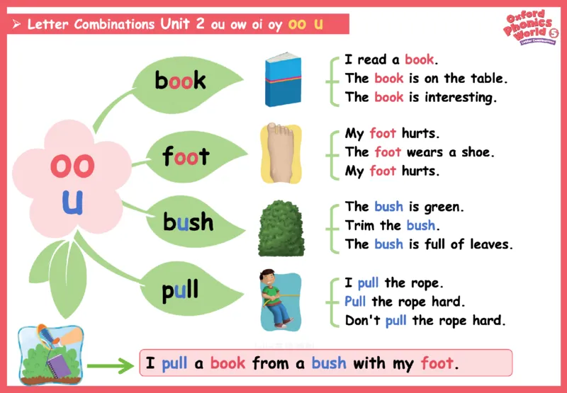 OPW5思维导图_《小学思维导图》_思维导图语数英第二套_英语_自然拼读1-5级思维导图