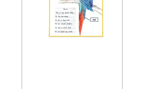 0924三年级英语(人教版)Unit+2+My+Body+第五课时-4练习题_26春四年级上下册人教版_四上英语合集人教版PEP英语四年级上册新教材（教学视频+课件+动画+音频+练习+教案）_17练习资料