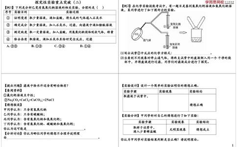 探究性实验重点突破（二）_初中化学_01.人教版初中化学_03.初中化学专项视频_8838中考化学酸碱盐综合性试题突破[5讲-陈潭飞]_酸碱盐综合性试题突破[8838]