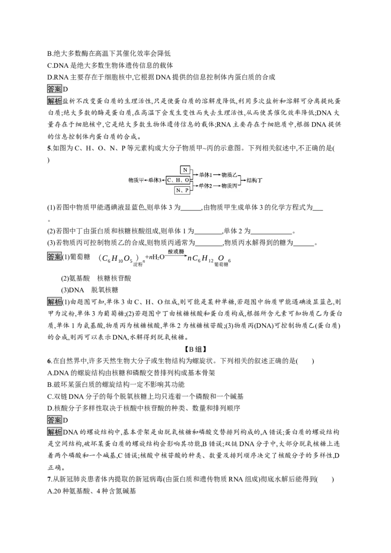 第四章　第三节　核酸_高化_2025春-人教版高中化学_05新版高中化学选择性必修3_2.课件+练习_4.3核酸课件（25张ppt）+练习（含解析）