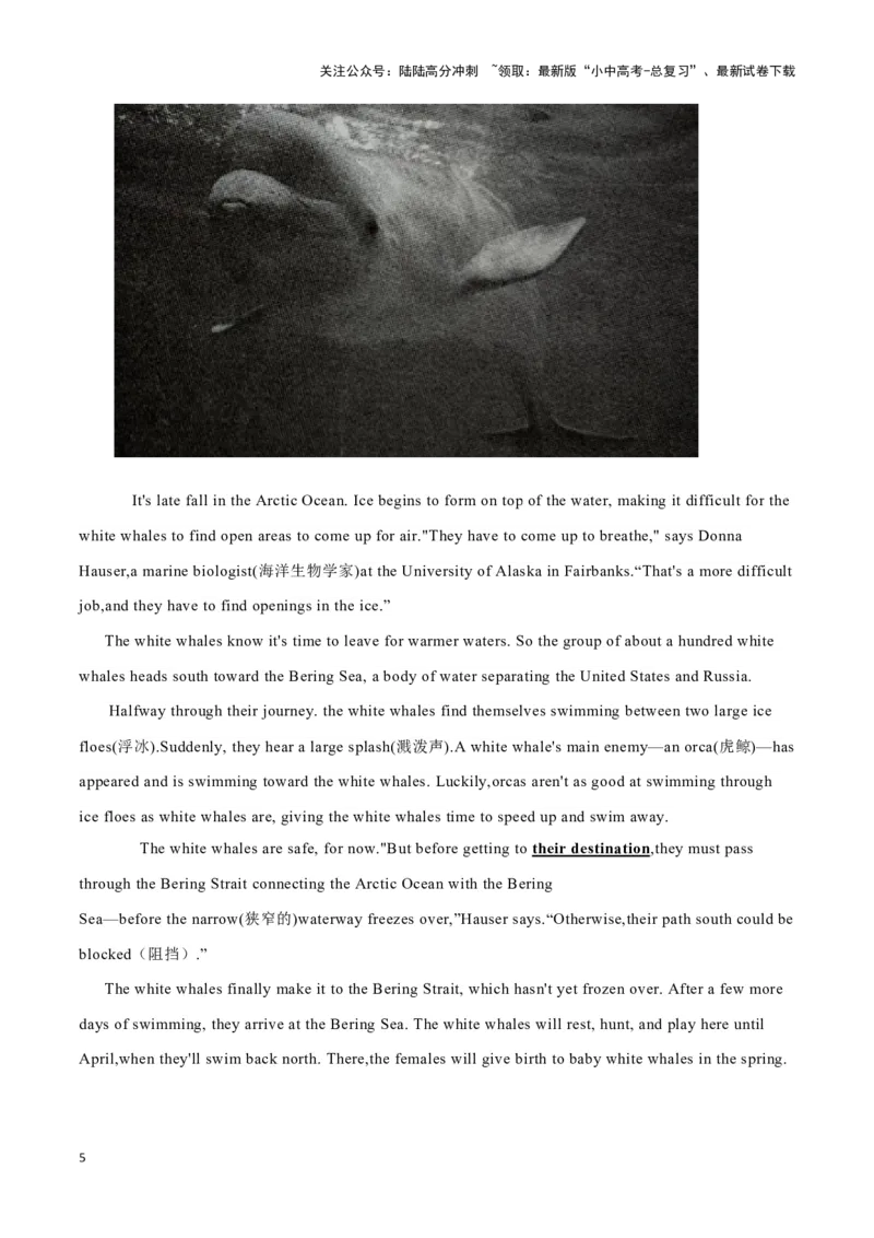 01人工智能系统ProjectDebater、人工智能续写《第十交响曲》、白鲸南迁之旅（原卷版）_02中考总复习（2026版更新中）_03-英语-中考总复习_2024年中考复习资料_专项复习资料