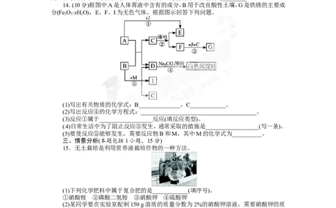 （人教版）九年级下册：第11单元盐化肥单元检测_初中化学_01.人教版初中化学_01.初中化学课件PPT--教案--试题_初中化学18年试卷_人教版九年级化学下册2018