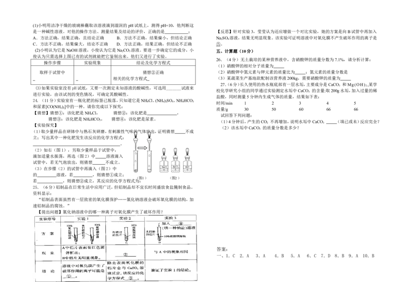 第11单元《盐化肥》单元检测卷及答案_初中化学_01.人教版初中化学_01.初中化学课件PPT--教案--试题_初中化学18年试卷_人教版九年级化学下册2018