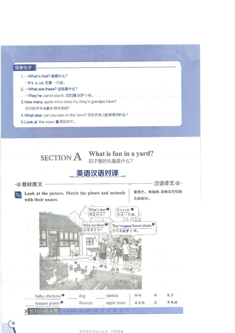 2024秋薛金星初中英语七上《中学教材全解》人教版_2026沪教牛津版英语_（41127）2024秋薛金星初中英语七上《中学教材全解》人教+沪教版