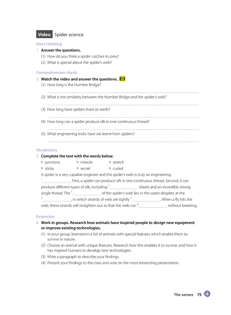 沪教版高中选择性必修第一册英语电子课本_2026沪教牛津版英语_沪教版