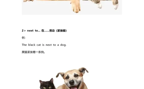 知识梳理教科版小学英语三年级下册Unit4_《小学各科知识点》_小学英语《知识梳理》3-6年级上下册_下册_教科版小学英语3-6年级下册_三下