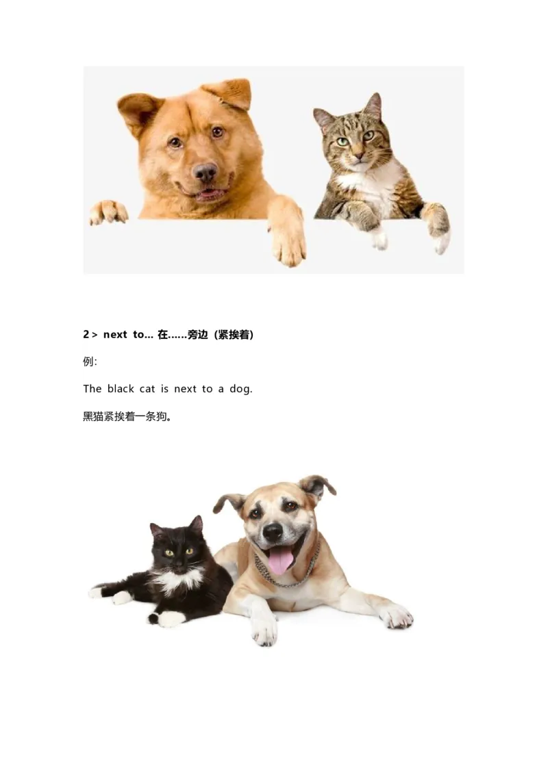 知识梳理教科版小学英语三年级下册Unit4_《小学各科知识点》_小学英语《知识梳理》3-6年级上下册_下册_教科版小学英语3-6年级下册_三下