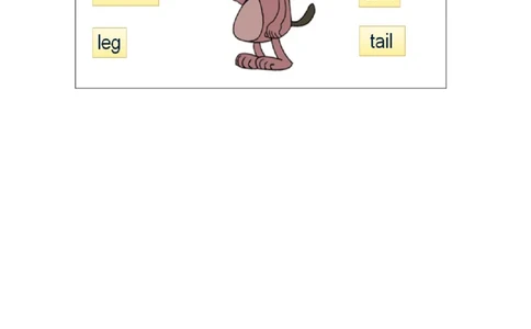 1110二年级英语(北京版)REVISION+TWO(1)-4练习题_26春四年级上下册人教版_四上英语合集人教版PEP英语四年级上册新教材（教学视频+课件+动画+音频+练习+教案）_17练习资料_《小学英语》