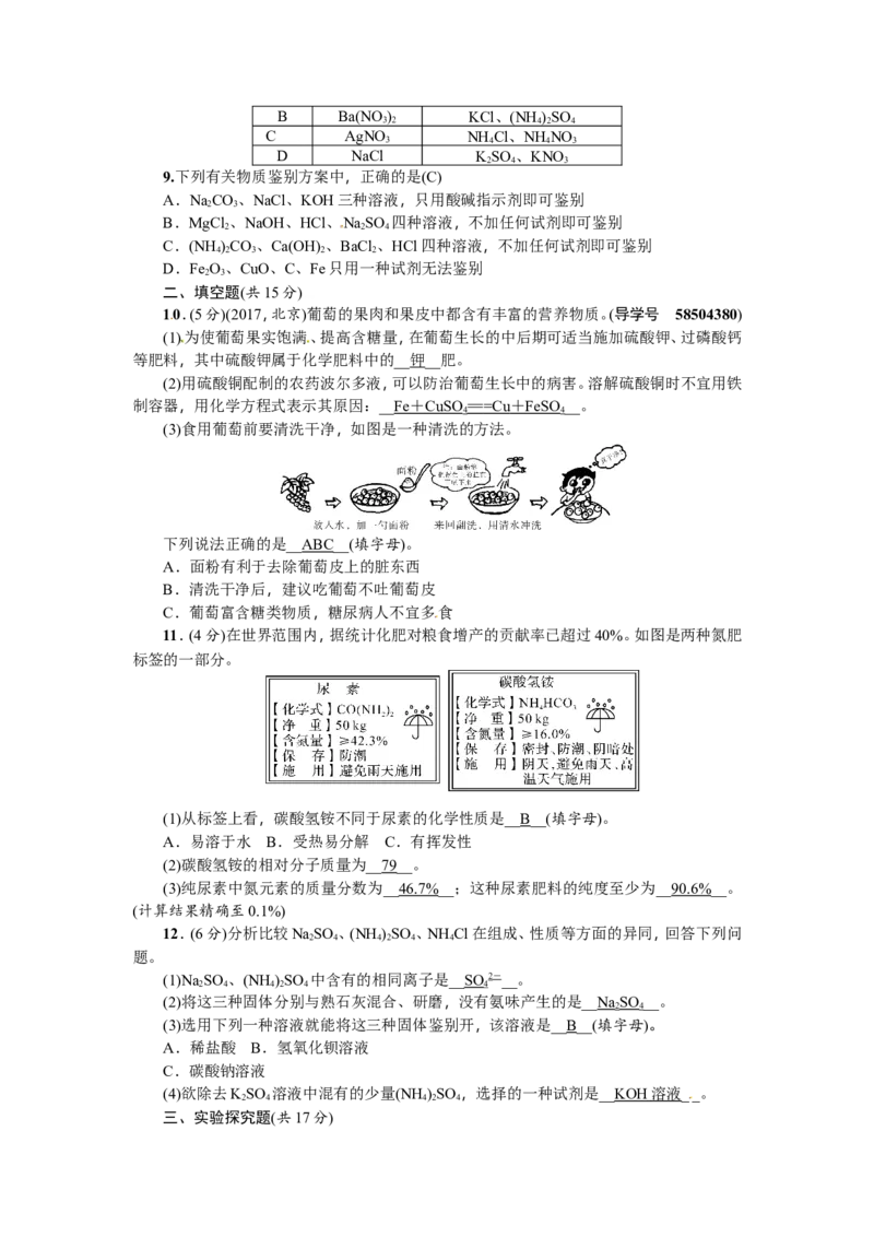 第21讲化学肥料_初中化学_01.人教版初中化学_07.初中化学中考总复习_2018年（聚焦新中考）人教版_2018年（聚焦新中考）人教版考点跟踪突破全套（22份打包）