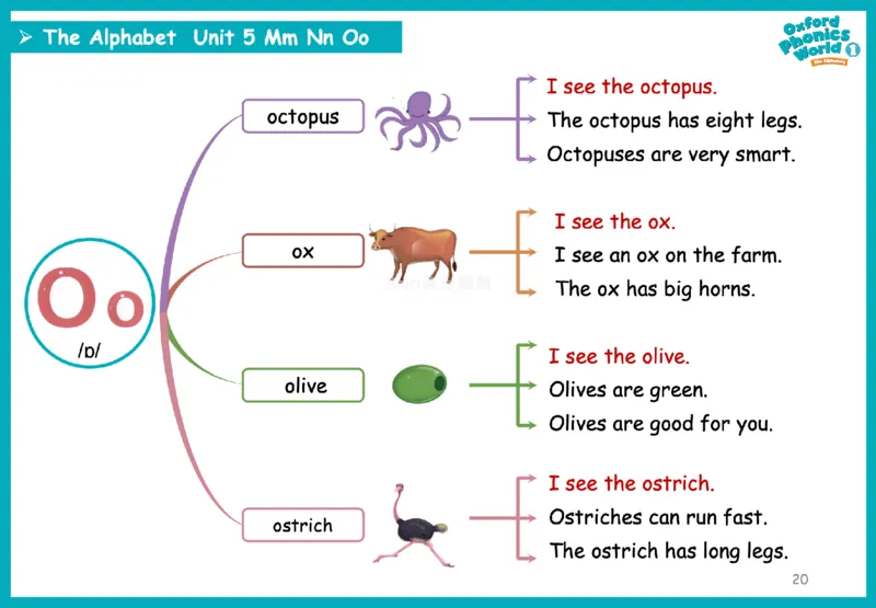 OPW1思维导图_《小学思维导图》_思维导图语数英第二套_英语_自然拼读1-5级思维导图