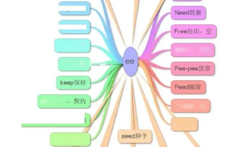 小学英语单词思维导图（17图）_高中全科学习导图全套_（赠送）小学、初中、高中全科九门精品思维导图（621图）-可下载打印）