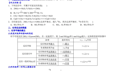 课时6.3.3化学反应的限度-2020-2021学年高一化学必修第二册精品讲义（新教材人教版）_高化_2025春-人教版高中化学_02新版高中化学必修二_7.精品讲义