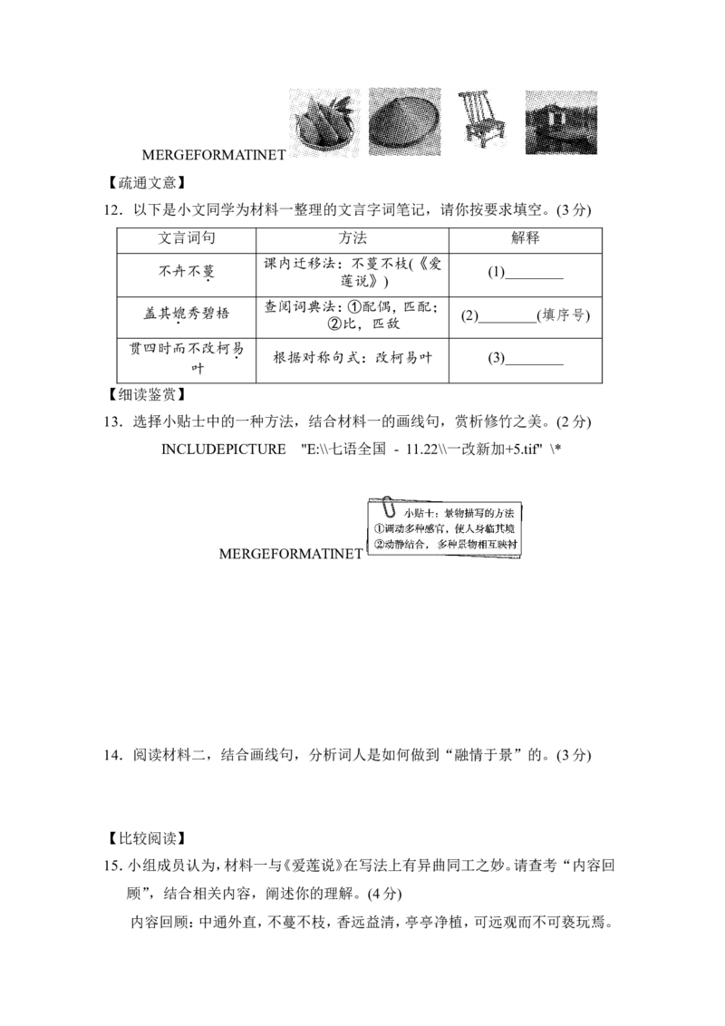 期末学情评估_新人教版七下语文学习资料包_8.单元、期中、期末测试评估卷