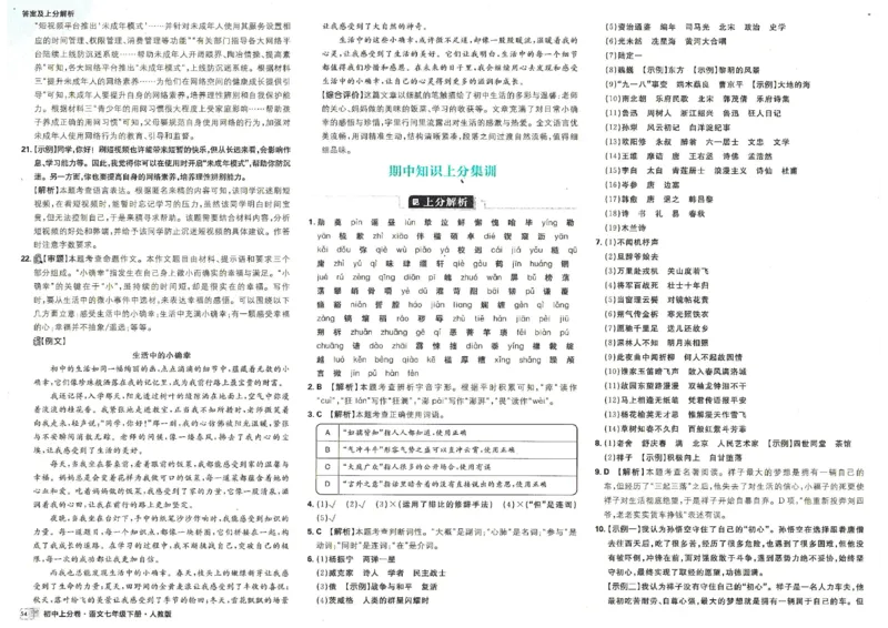 上分卷七下人教版语文答案_新人教版七下语文学习资料包_13.配套教辅练习_2025版《初中上分卷》语文7下