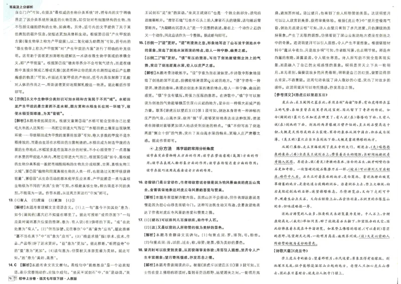 上分卷七下人教版语文答案_新人教版七下语文学习资料包_13.配套教辅练习_2025版《初中上分卷》语文7下
