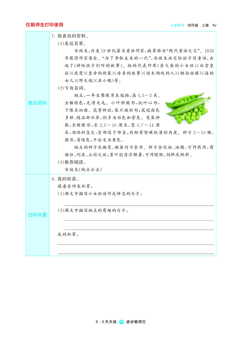 53预习单小学语文4年级上册_26春四年级上下册人教版_四上英语合集人教版PEP英语四年级上册新教材（教学视频+课件+动画+音频+练习+教案）_17练习资料_小学英语（预习复习资料大礼包）